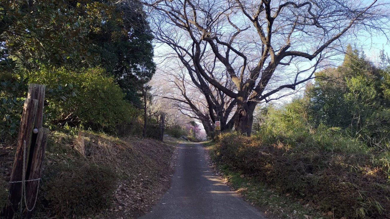 Tokyo University of Agriculture Botanical Garden, Atsugi, Japan, Japan